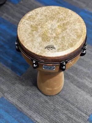 Remo - 25 x 14 Earth Djembe 2
